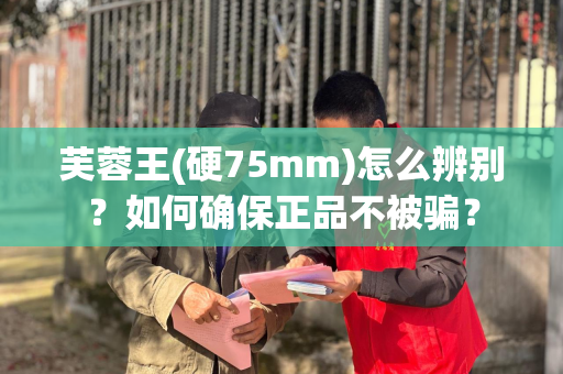 芙蓉王(硬75mm)怎么辨别？如何确保正品不被骗？